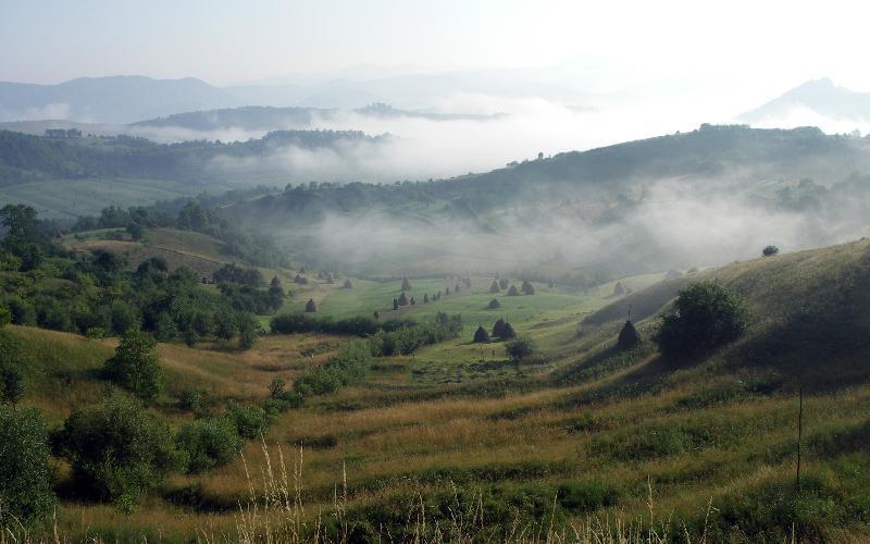 Pensiunea Denisa Bîrsana Exteriér fotografie